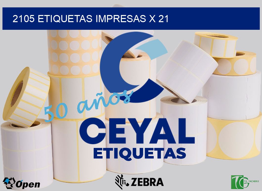 2105 Etiquetas impresas x 21