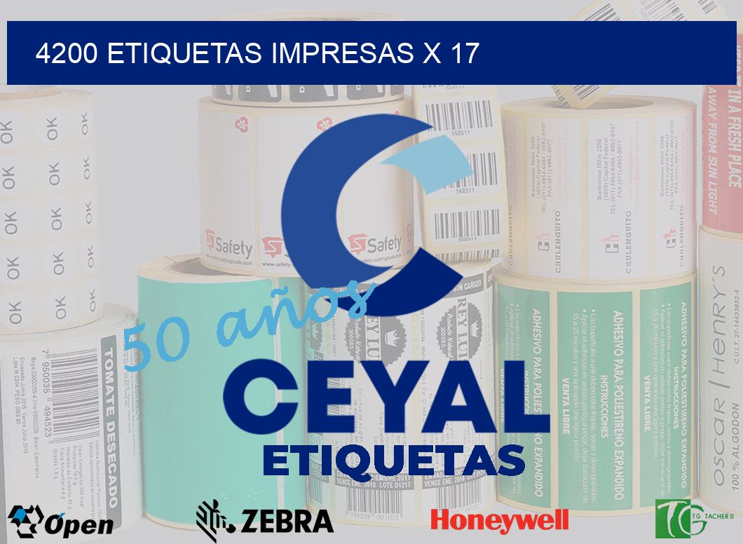 4200 Etiquetas impresas x 17