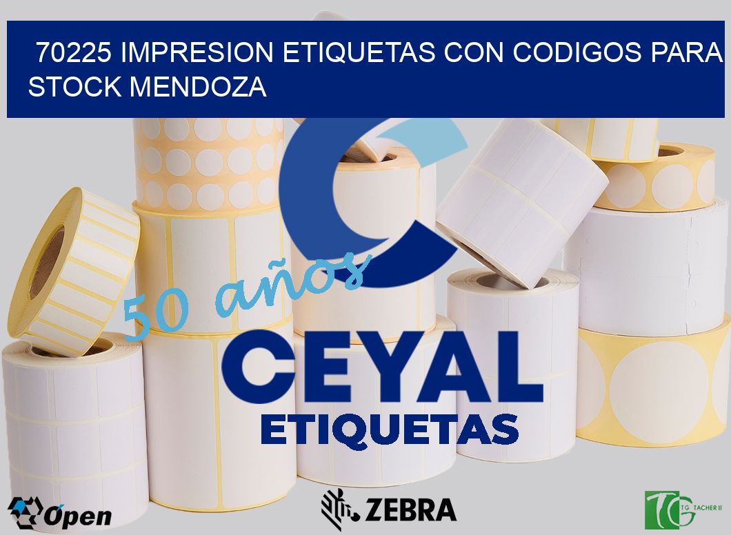 70225 IMPRESION ETIQUETAS CON CODIGOS PARA STOCK MENDOZA