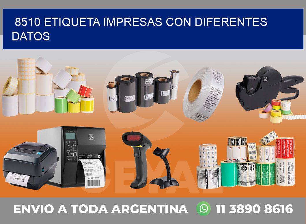 8510 ETIQUETA IMPRESAS CON DIFERENTES DATOS