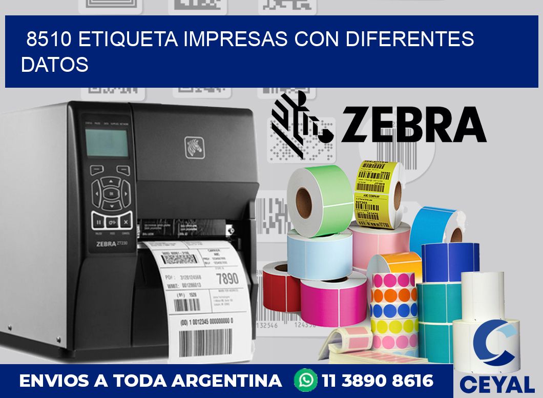 8510 ETIQUETA IMPRESAS CON DIFERENTES DATOS