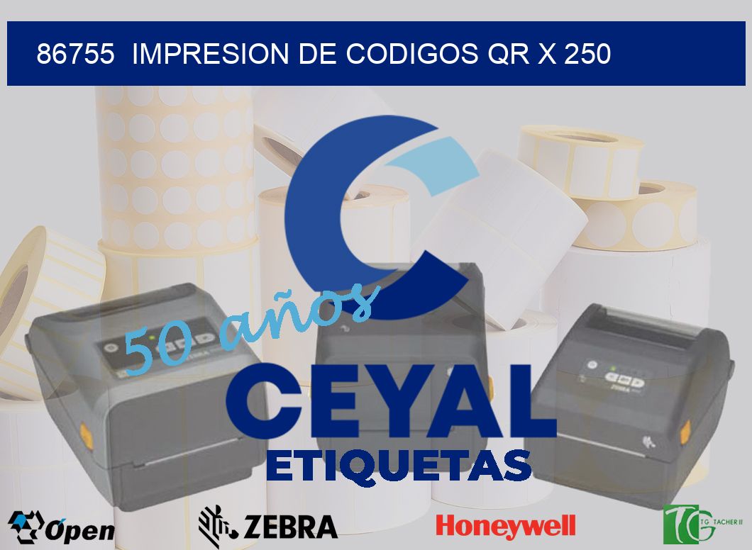 86755  impresion de codigos qr x 250