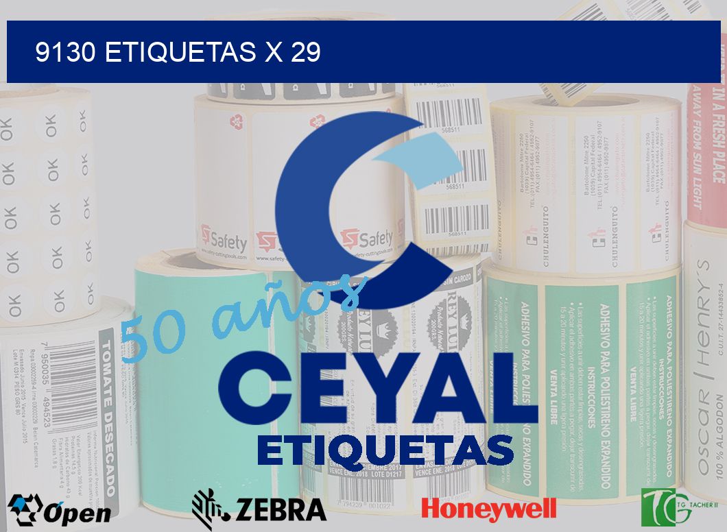 9130 Etiquetas x 29