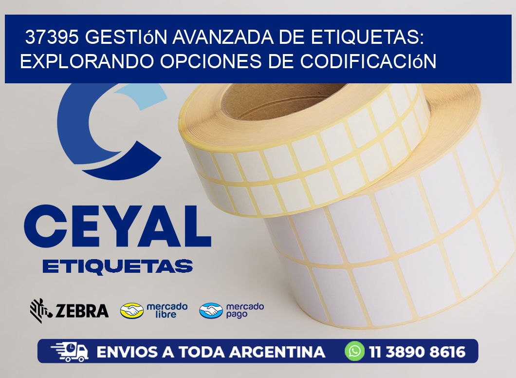 37395 Gestión Avanzada de Etiquetas: Explorando Opciones de Codificación