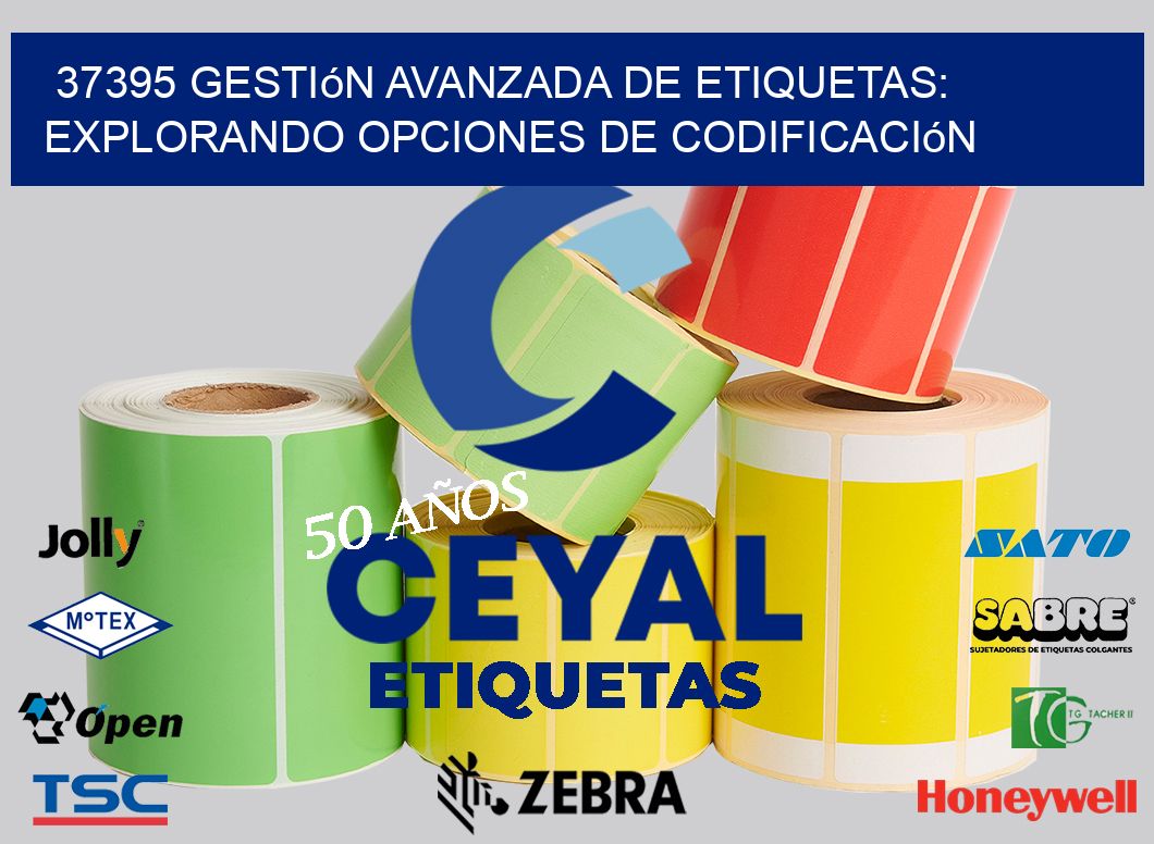 37395 Gestión Avanzada de Etiquetas: Explorando Opciones de Codificación