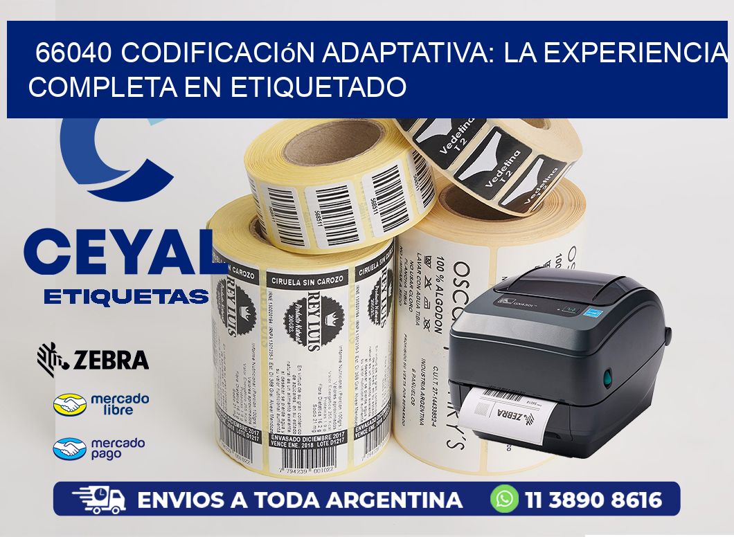 66040 Codificación Adaptativa: La Experiencia Completa en Etiquetado