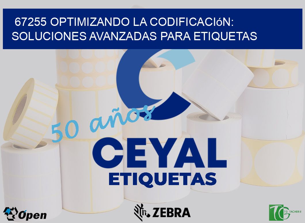 67255 Optimizando la Codificación: Soluciones Avanzadas para Etiquetas