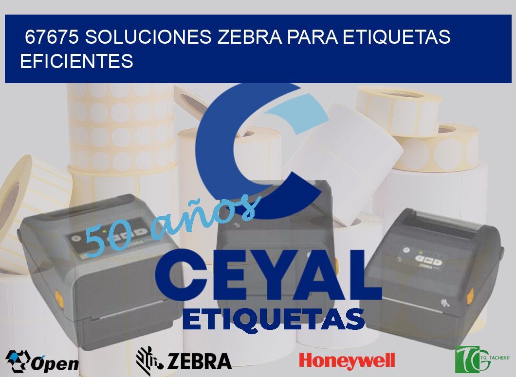 67675 Soluciones Zebra para Etiquetas Eficientes