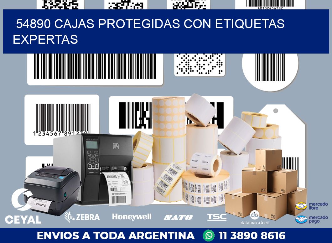 54890 CAJAS PROTEGIDAS CON ETIQUETAS EXPERTAS