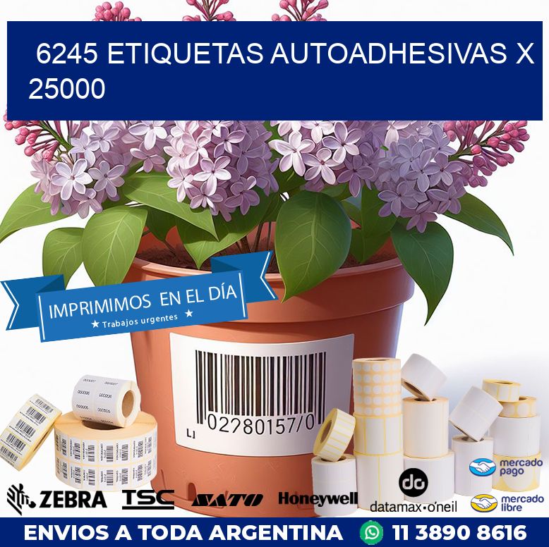 6245 ETIQUETAS AUTOADHESIVAS X 25000
