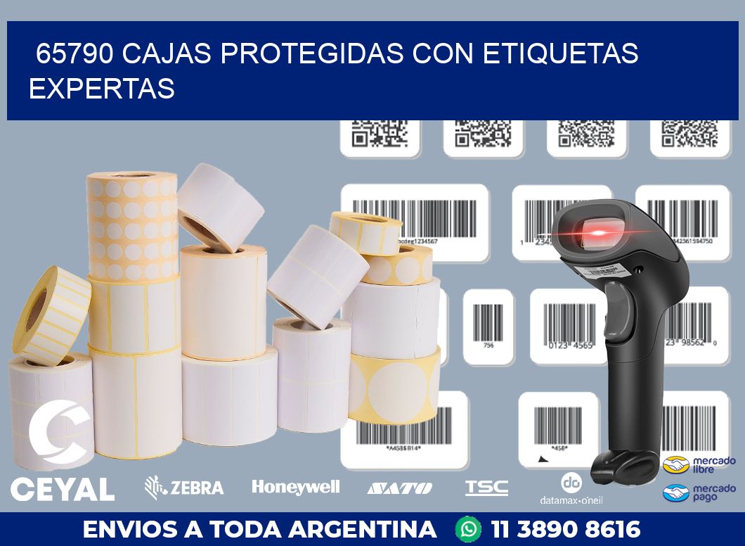 65790 CAJAS PROTEGIDAS CON ETIQUETAS EXPERTAS