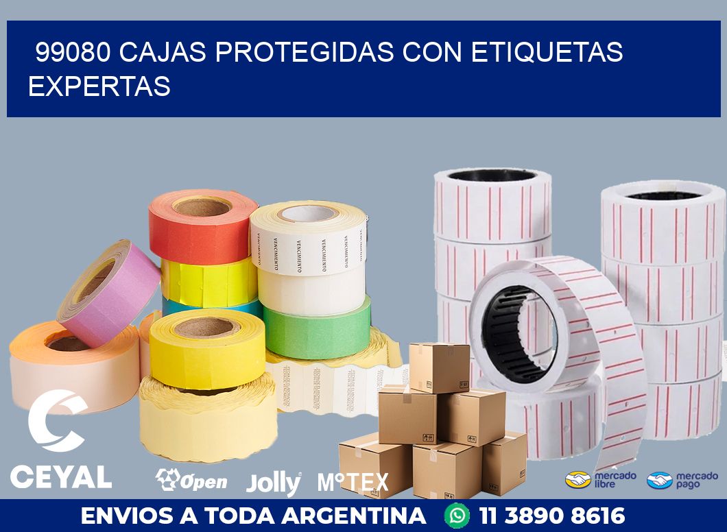 99080 CAJAS PROTEGIDAS CON ETIQUETAS EXPERTAS