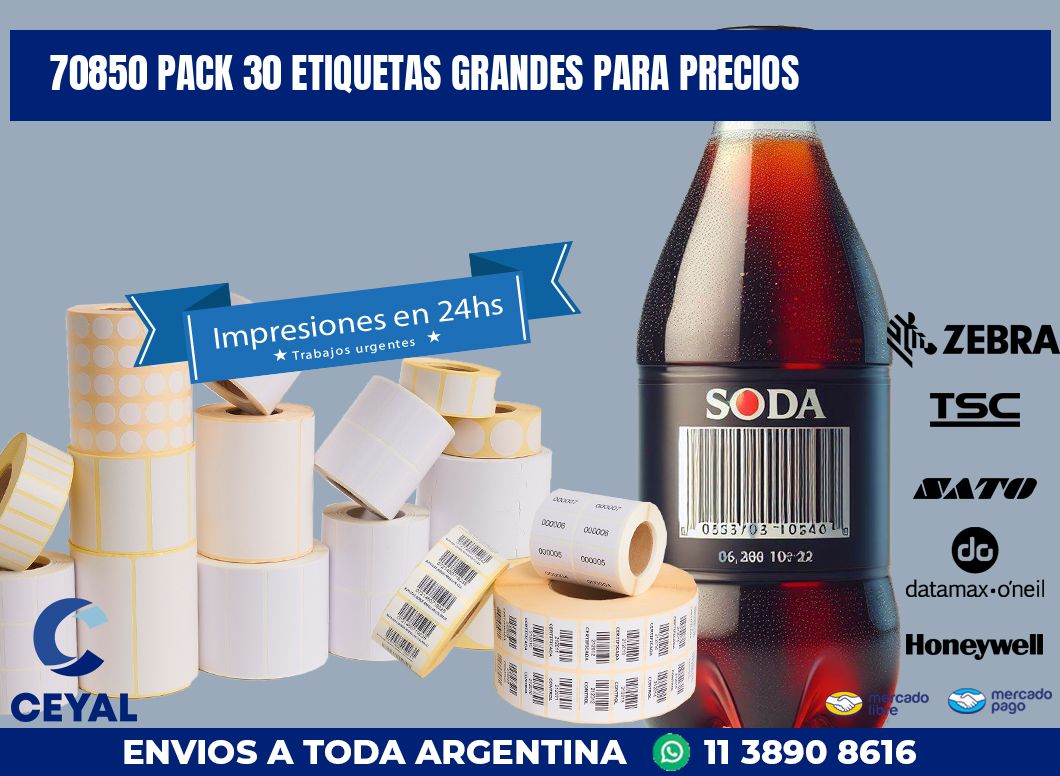 70850 PACK 30 ETIQUETAS GRANDES PARA PRECIOS