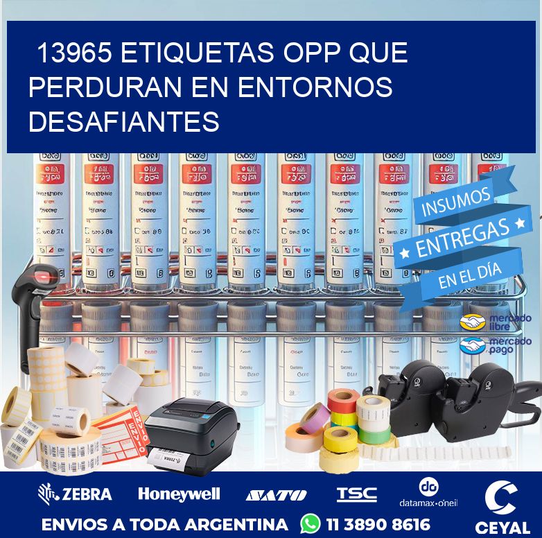 13965 ETIQUETAS OPP QUE PERDURAN EN ENTORNOS DESAFIANTES