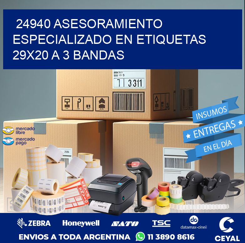 24940 ASESORAMIENTO ESPECIALIZADO EN ETIQUETAS 29X20 A 3 BANDAS
