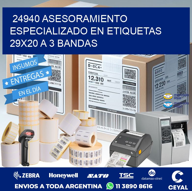 24940 ASESORAMIENTO ESPECIALIZADO EN ETIQUETAS 29X20 A 3 BANDAS