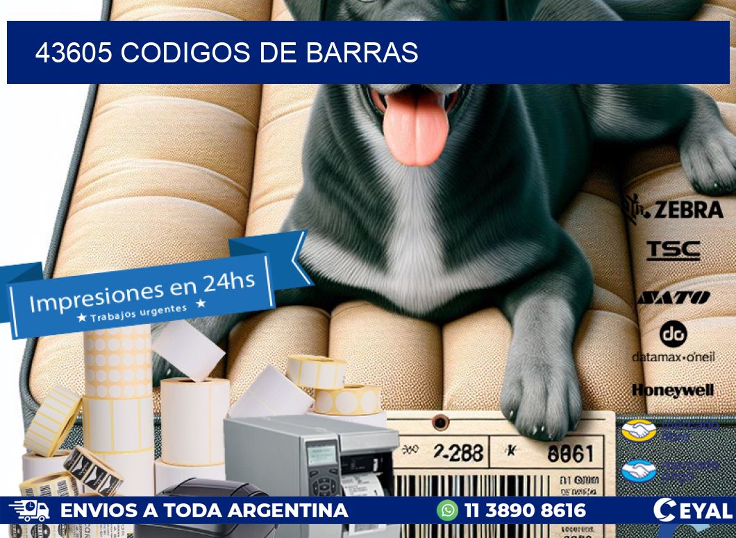 43605 codigos de barras