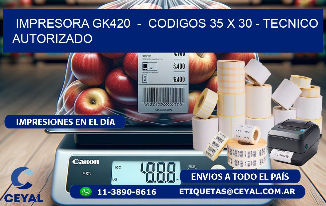 IMPRESORA GK420  -  CODIGOS 35 x 30 - TECNICO AUTORIZADO