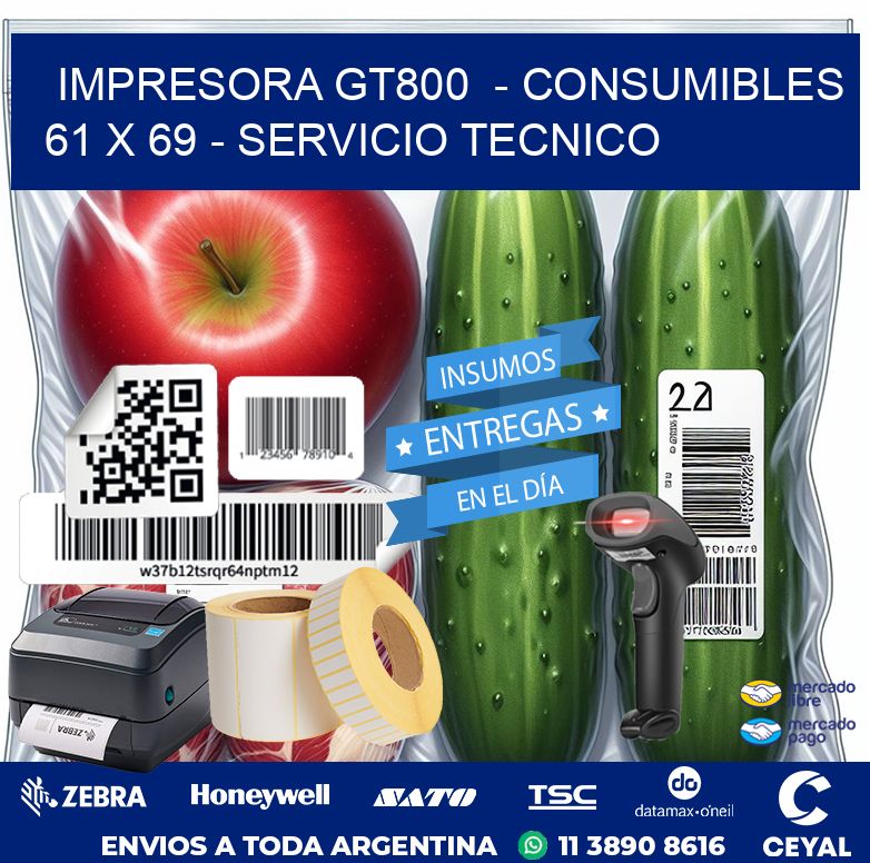 IMPRESORA GT800  – CONSUMIBLES  61 x 69 – SERVICIO TECNICO