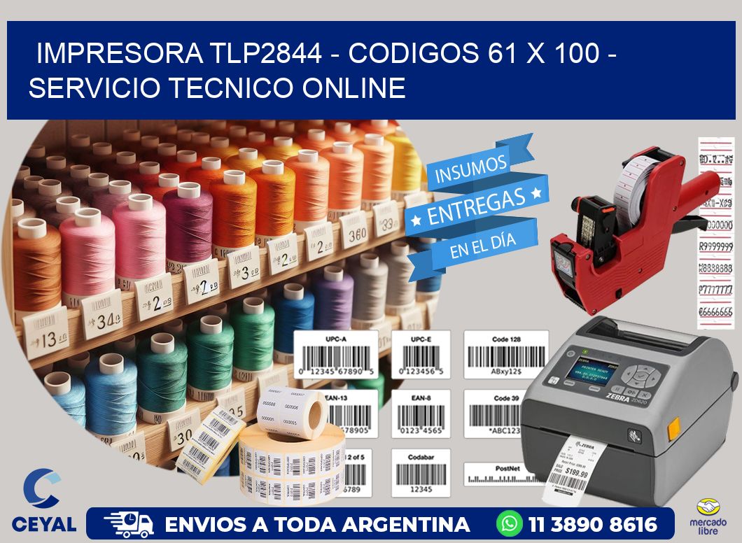 IMPRESORA TLP2844 - CODIGOS 61 x 100 - SERVICIO TECNICO ONLINE