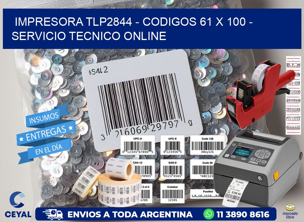 IMPRESORA TLP2844 - CODIGOS 61 x 100 - SERVICIO TECNICO ONLINE