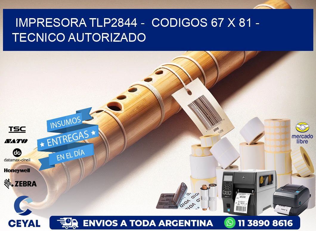 IMPRESORA TLP2844 -  CODIGOS 67 x 81 - TECNICO AUTORIZADO