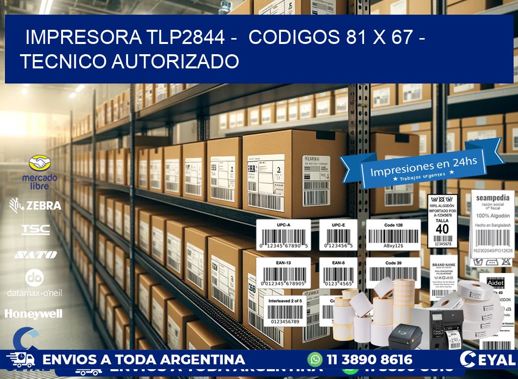 IMPRESORA TLP2844 -  CODIGOS 81 x 67 - TECNICO AUTORIZADO