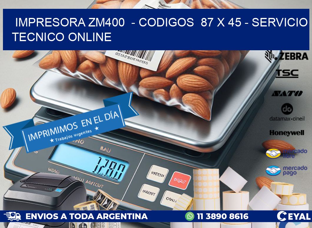IMPRESORA ZM400  - CODIGOS  87 x 45 - SERVICIO TECNICO ONLINE