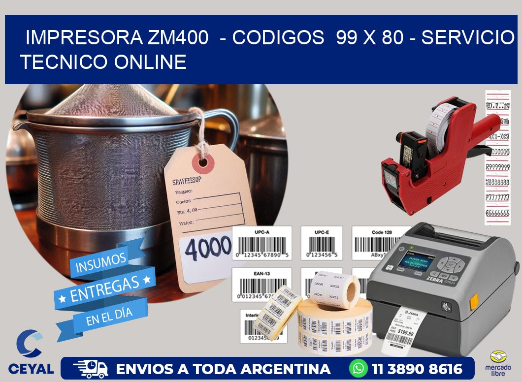 IMPRESORA ZM400  - CODIGOS  99 x 80 - SERVICIO TECNICO ONLINE