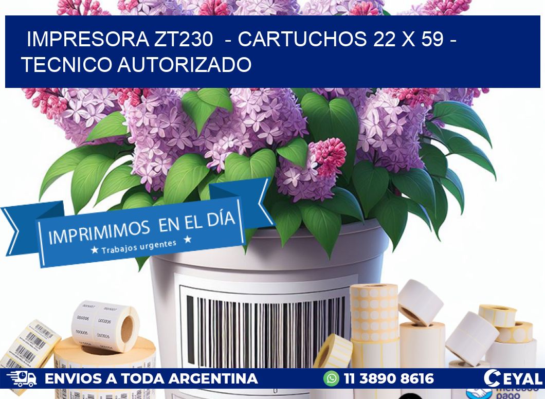 IMPRESORA ZT230  - CARTUCHOS 22 x 59 - TECNICO AUTORIZADO