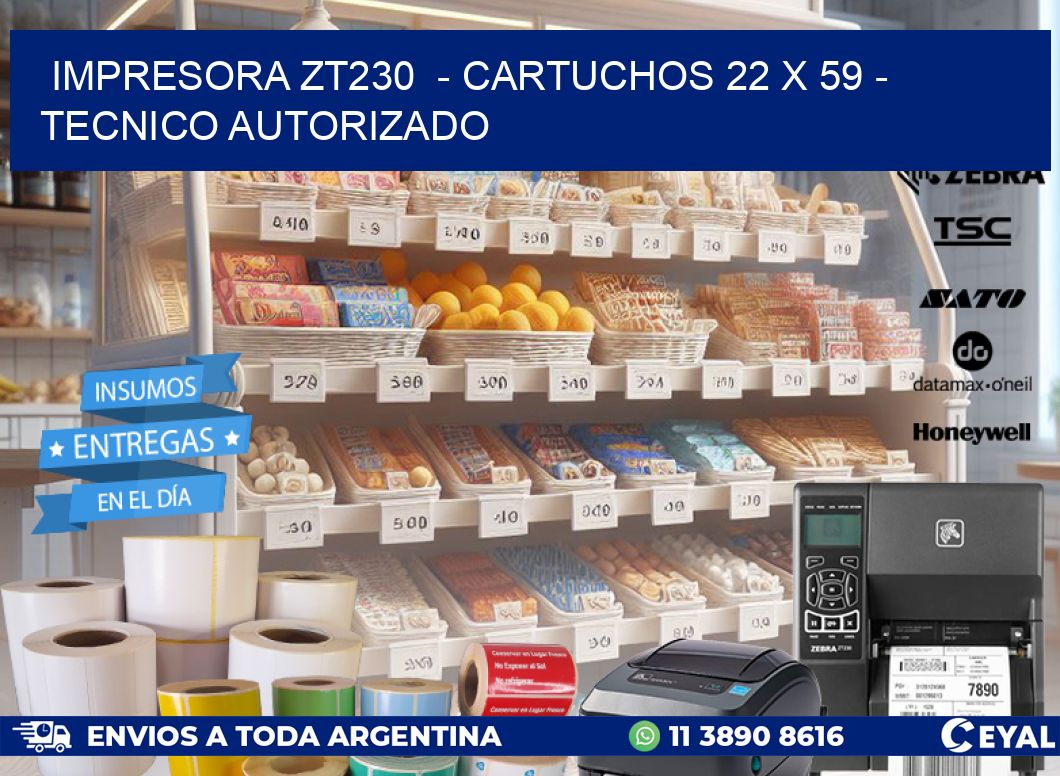IMPRESORA ZT230  - CARTUCHOS 22 x 59 - TECNICO AUTORIZADO