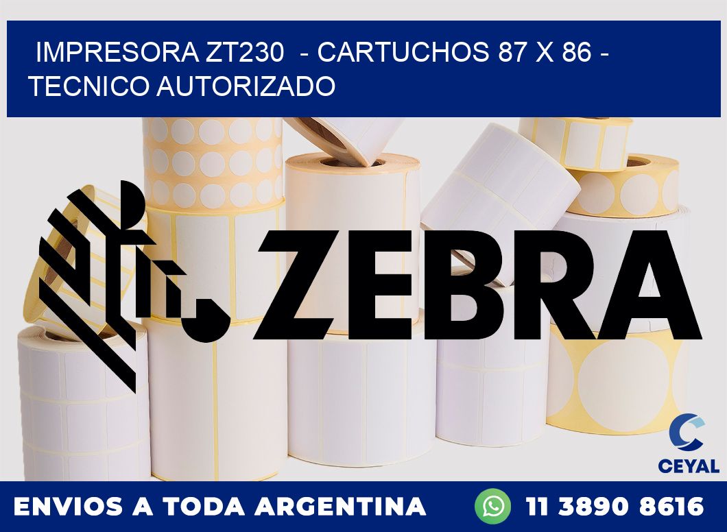 IMPRESORA ZT230  - CARTUCHOS 87 x 86 - TECNICO AUTORIZADO