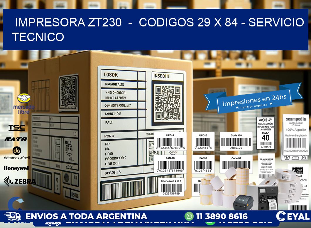 IMPRESORA ZT230  -  CODIGOS 29 x 84 - SERVICIO TECNICO