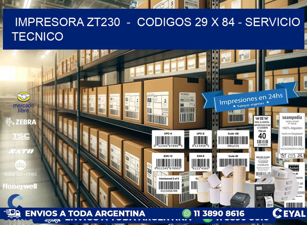 IMPRESORA ZT230  -  CODIGOS 29 x 84 - SERVICIO TECNICO