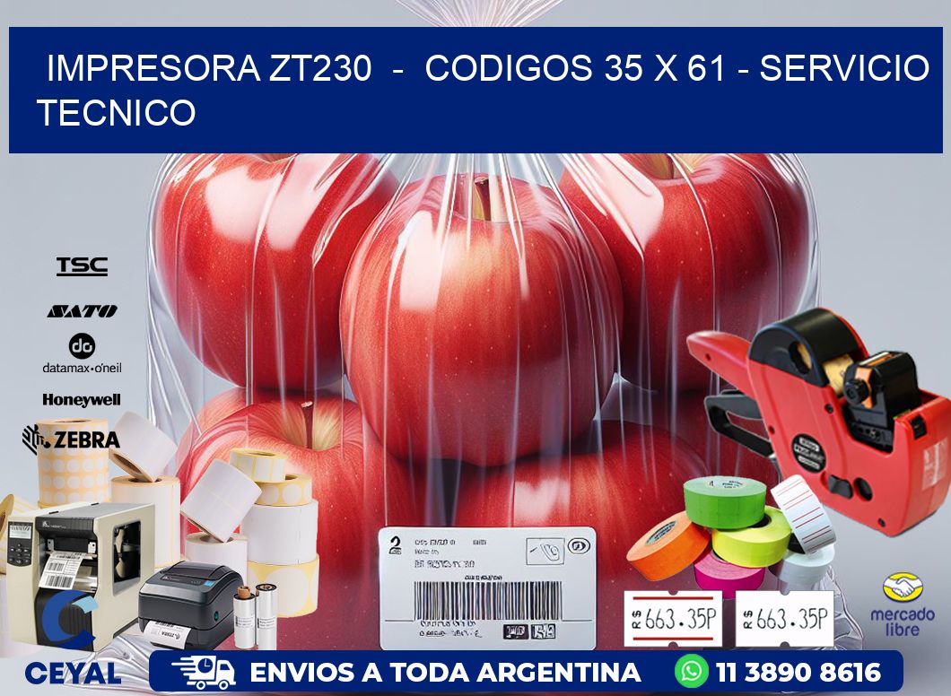IMPRESORA ZT230  -  CODIGOS 35 x 61 - SERVICIO TECNICO