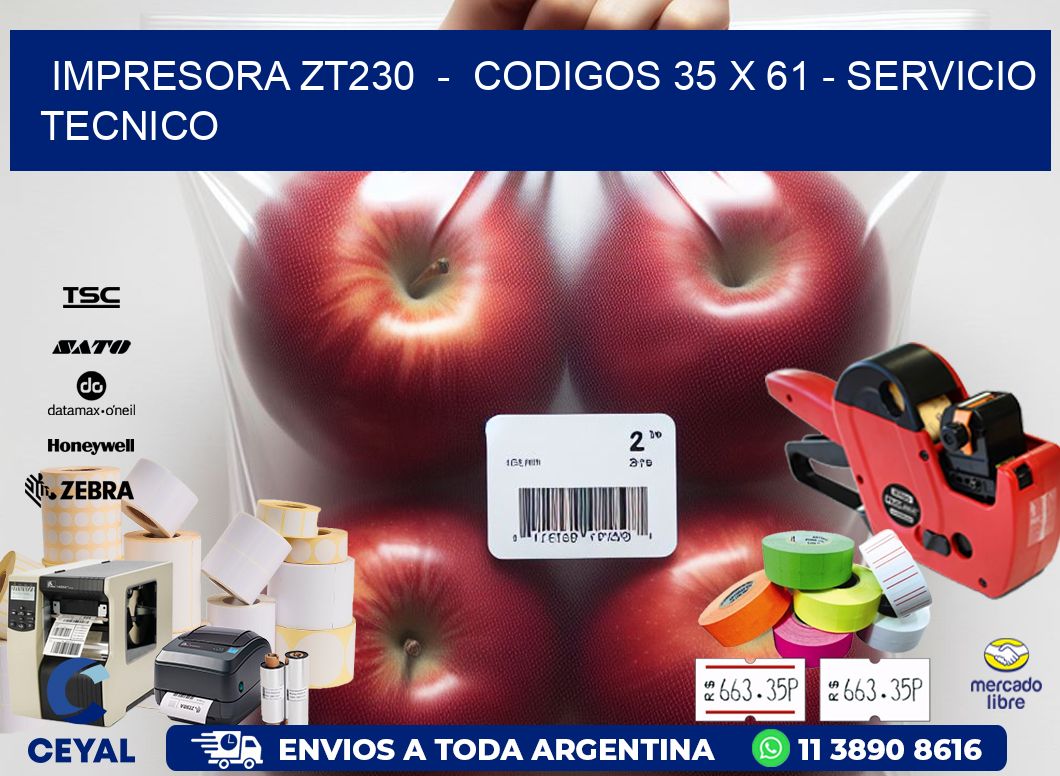 IMPRESORA ZT230  -  CODIGOS 35 x 61 - SERVICIO TECNICO