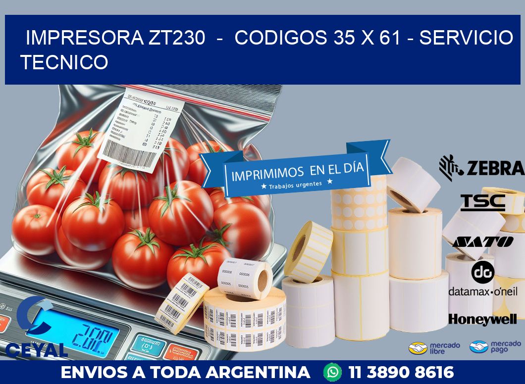 IMPRESORA ZT230  –  CODIGOS 35 x 61 – SERVICIO TECNICO