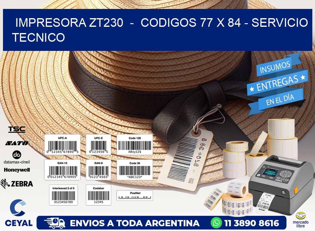 IMPRESORA ZT230  -  CODIGOS 77 x 84 - SERVICIO TECNICO