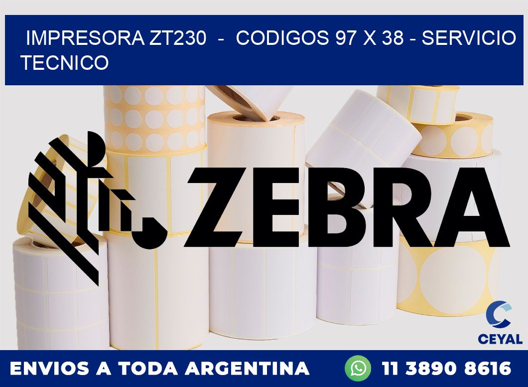 IMPRESORA ZT230  -  CODIGOS 97 x 38 - SERVICIO TECNICO