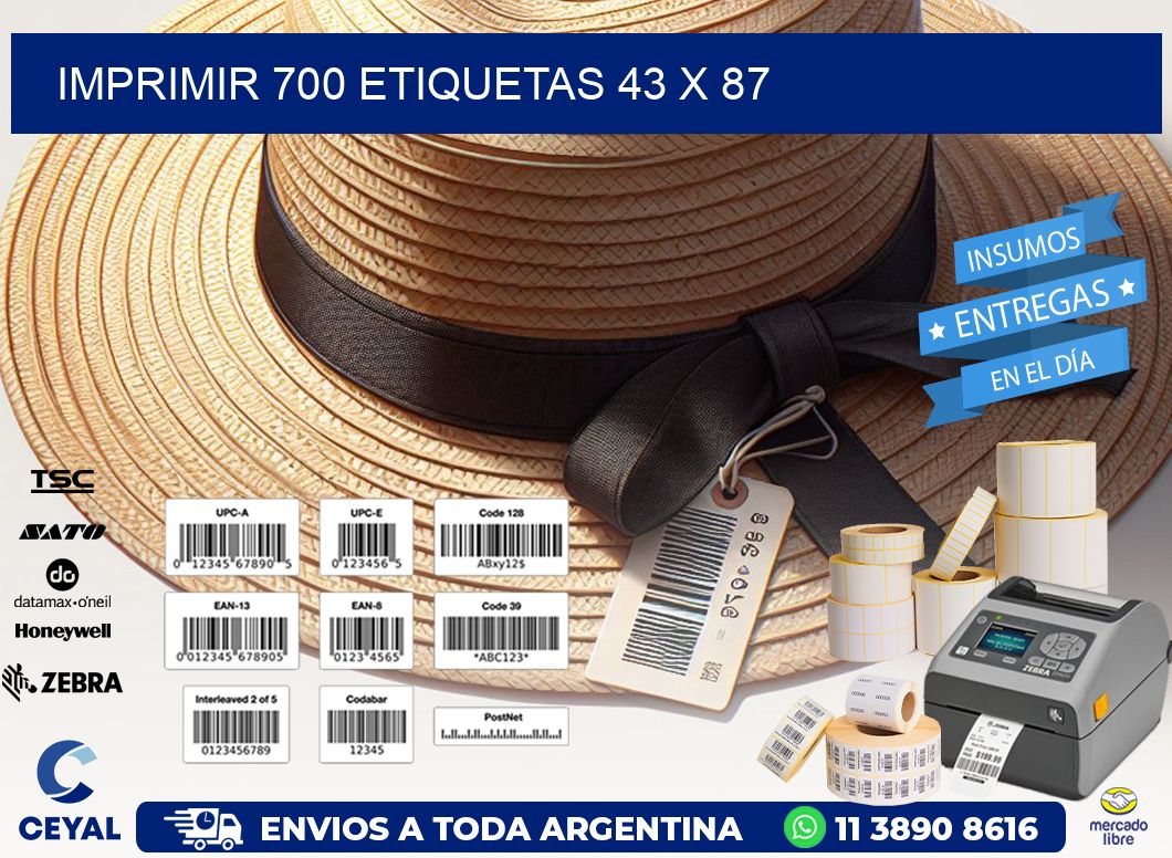 IMPRIMIR 700 ETIQUETAS 43 x 87