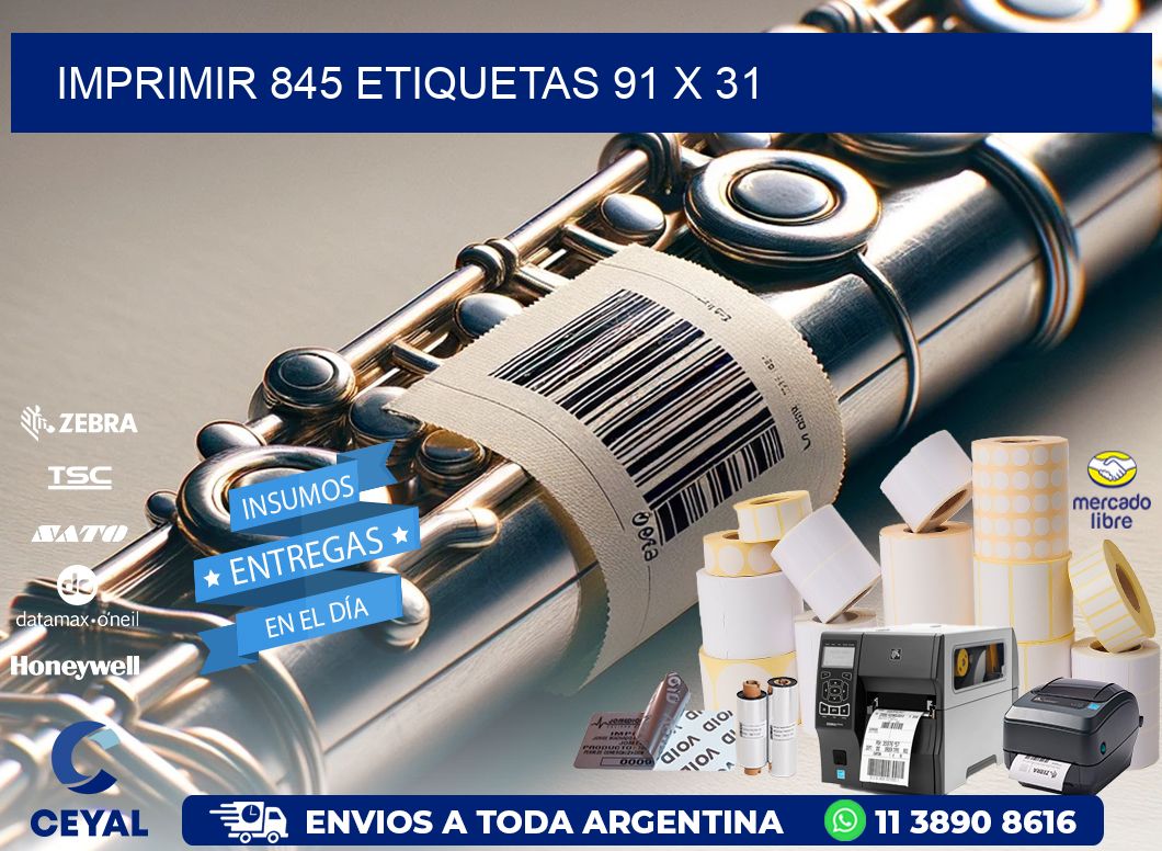 IMPRIMIR 845 ETIQUETAS 91 x 31
