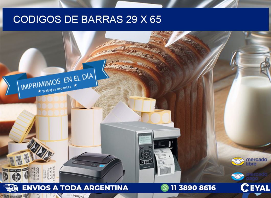 codigos de barras 29 x 65