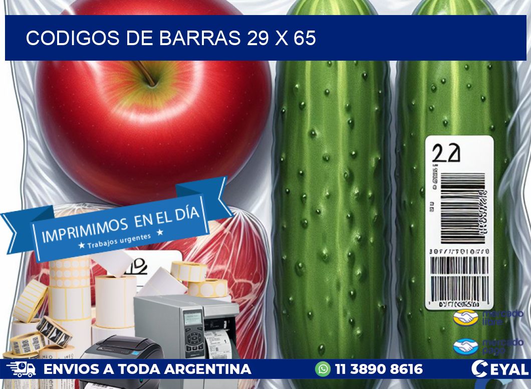 codigos de barras 29 x 65
