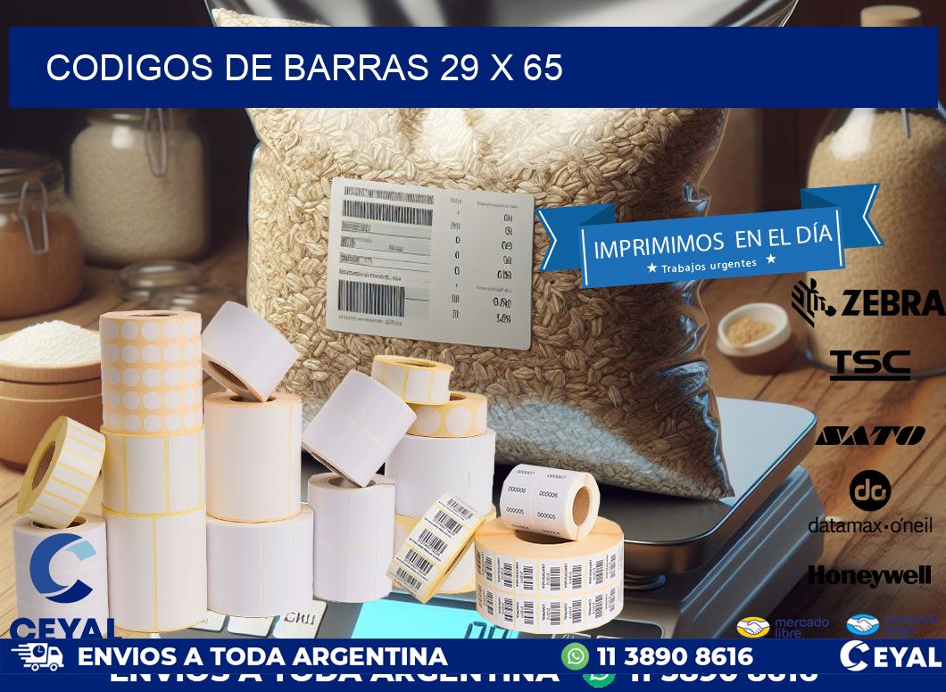 codigos de barras 29 x 65