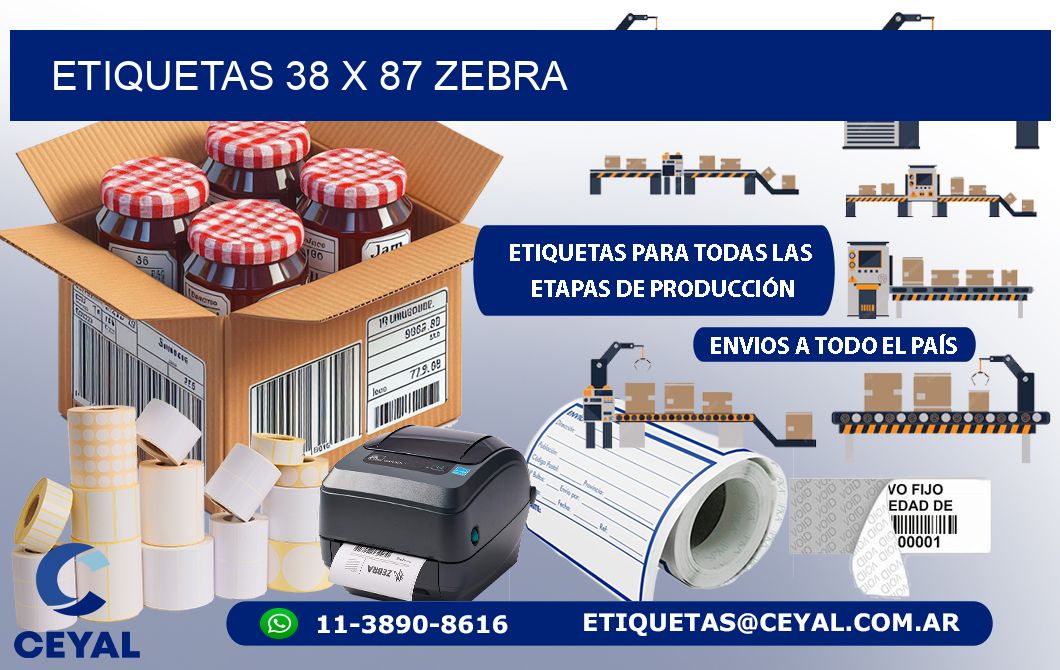 ETIQUETAS 38 x 87 ZEBRA