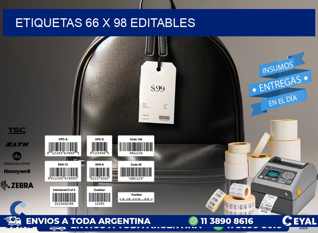 ETIQUETAS 66 x 98 EDITABLES