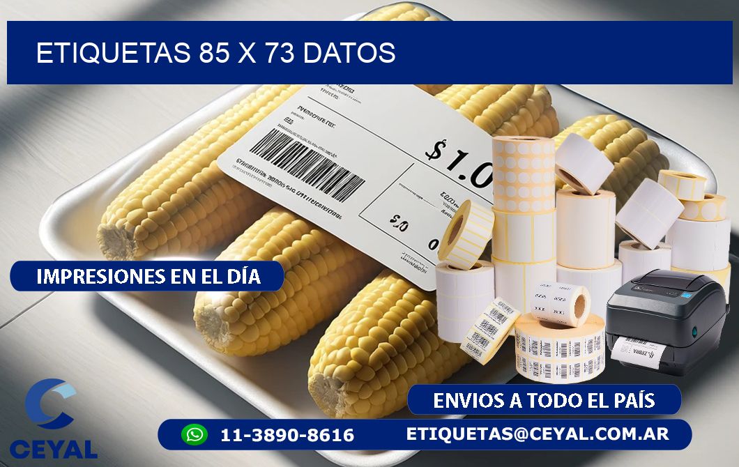 ETIQUETAS 85 x 73 DATOS