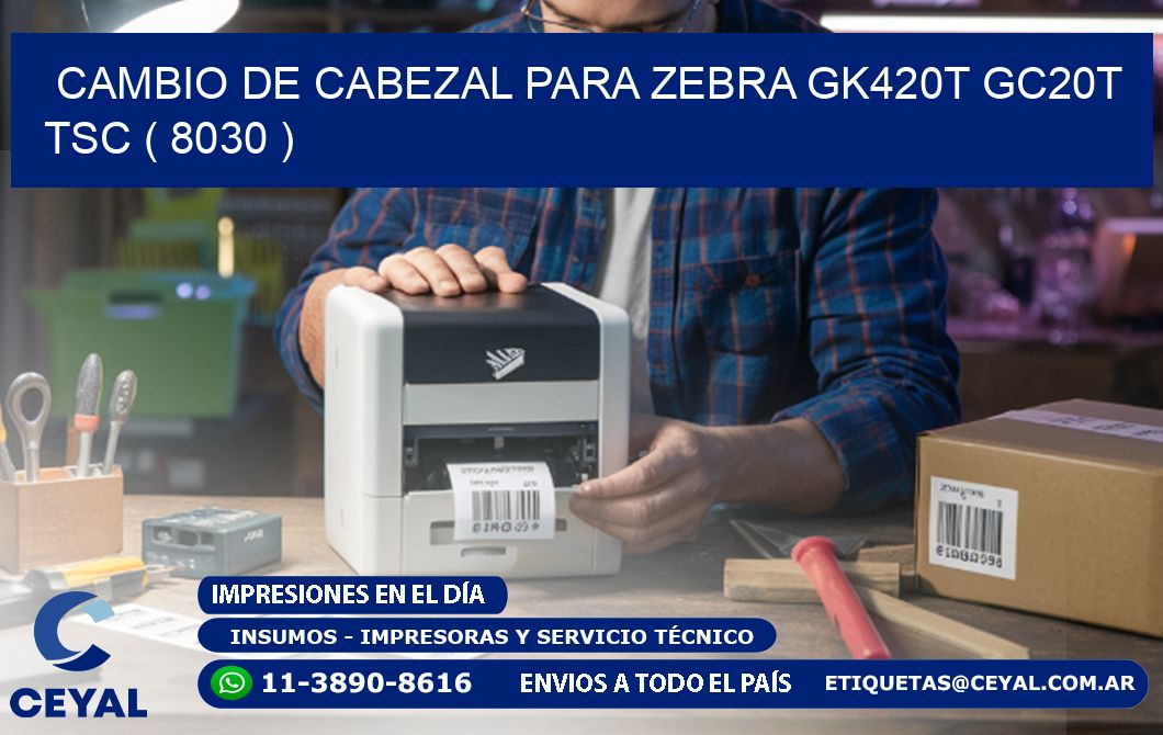 CAMBIO DE CABEZAL PARA ZEBRA GK420T GC20T TSC ( 8030 )