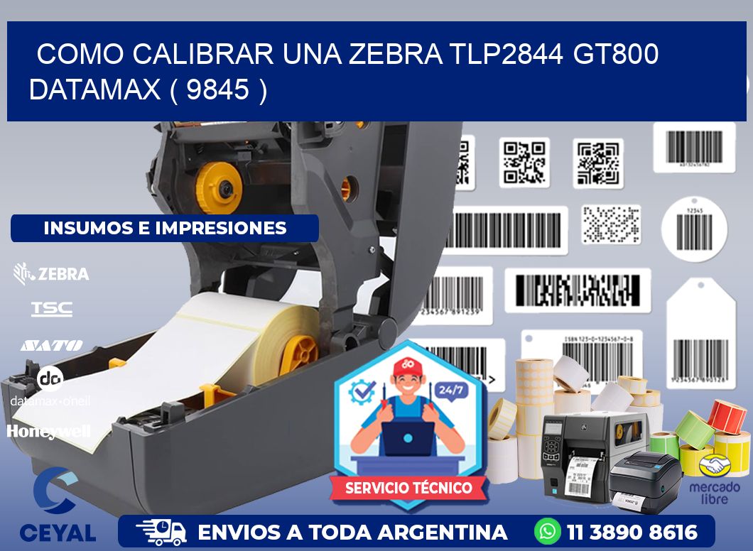 COMO CALIBRAR UNA ZEBRA TLP2844 GT800 DATAMAX ( 9845 )