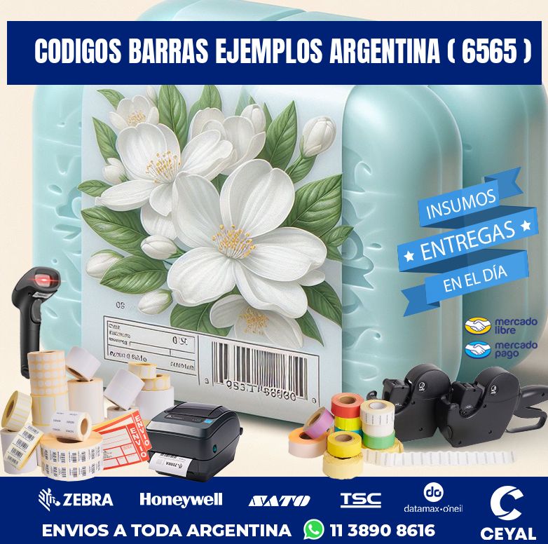 codigos barras ejemplos argentina ( 6565 )